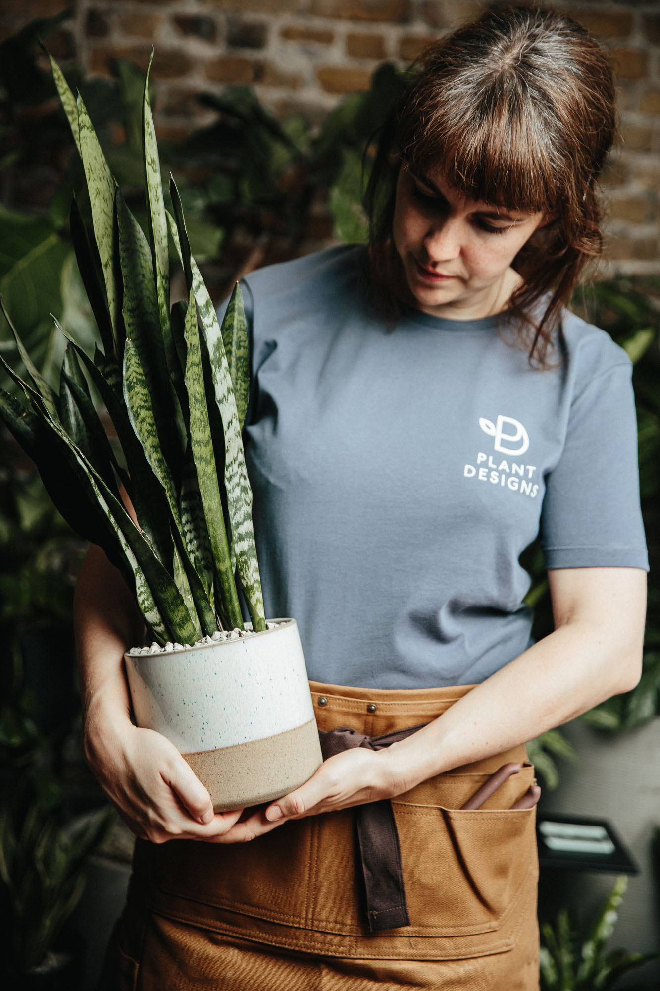 shop assistant holding plant in pot