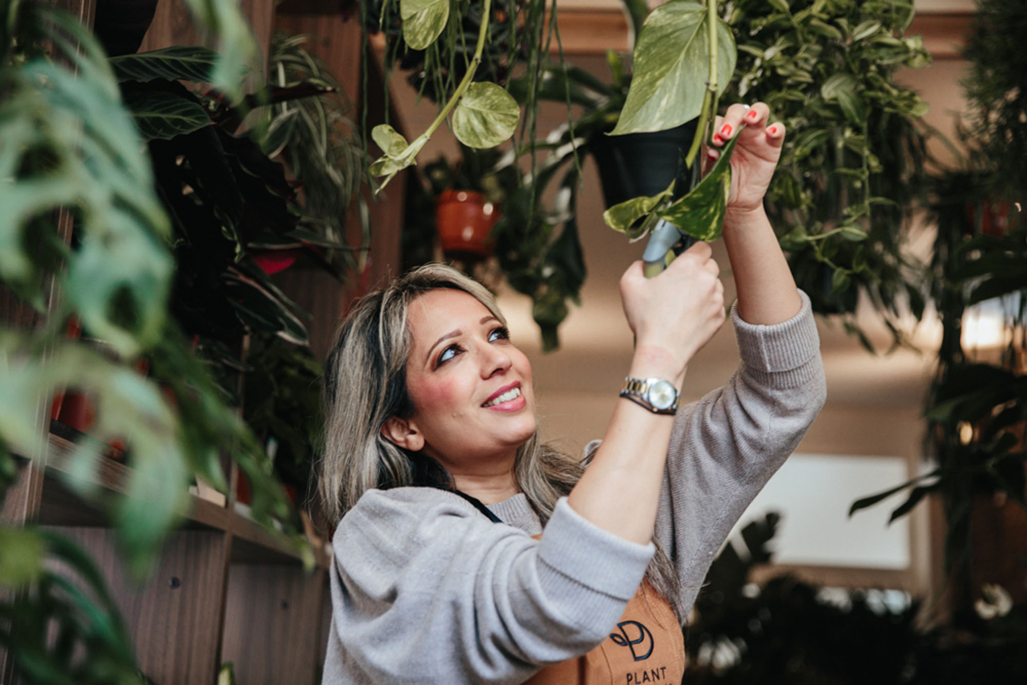 Shop assistant pruning hanging plants