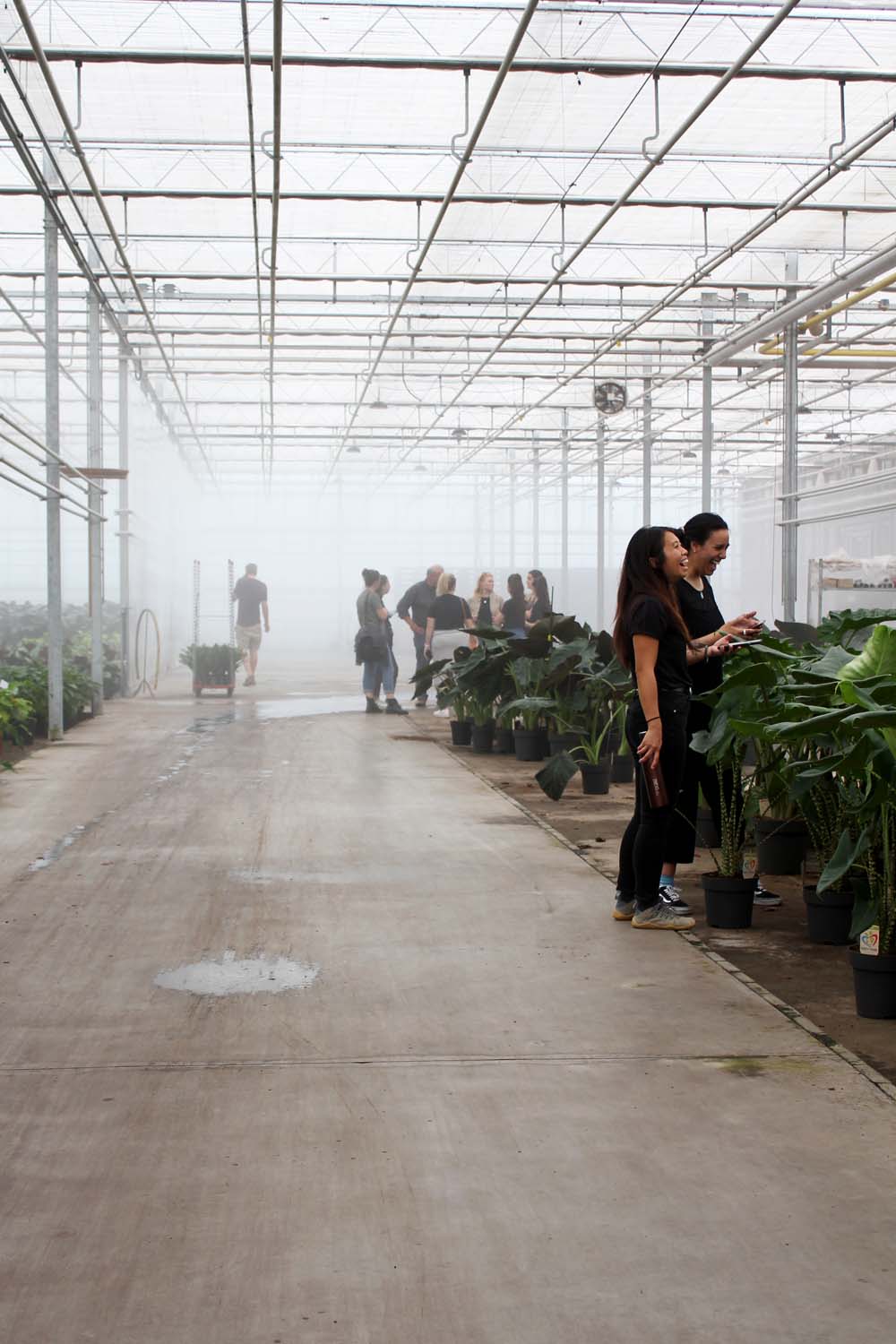 A misty glasshouse with people looking at plants