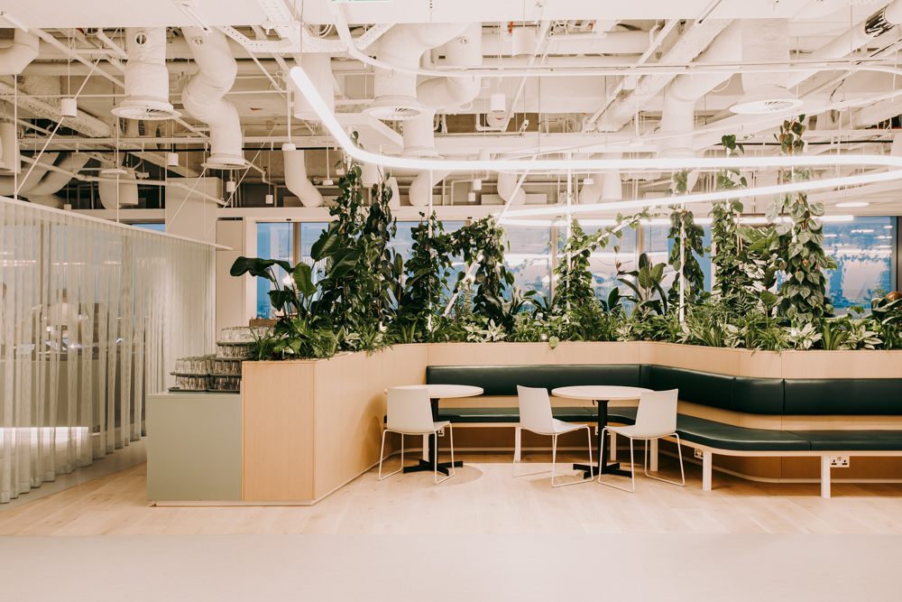 A built in office seating area surrounded by live plants
