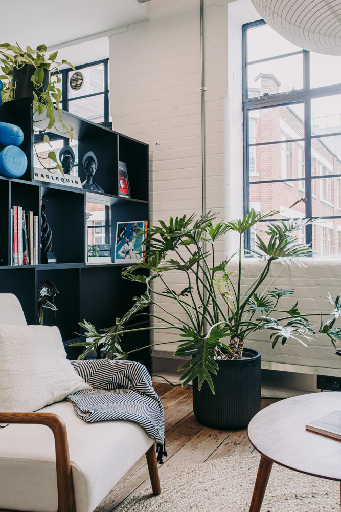 Comfortable homely working space with living plants