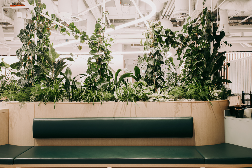 Built in planting in an office